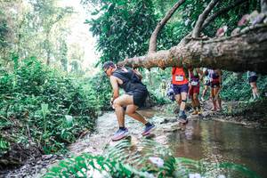 BIB: 
                            <button type="button" onclick="openModal(25454654)" class="btn btn-primary btn-sm float-right btn-popup" data-toggle="modal" data-target=".modal-high-quality">
                        <i class="fas fa-shopping-cart"></i> Add to Cart
                    </button>
                                            <button type="button" onclick="isThisMe(25454654, true)" class="btn btn-success btn-sm float-right btn-popup btn-isme hidden" data-toggle="tooltip" data-placement="bottom" title="นี่คือรูปของคุณใช่ไหม คลิกที่นี่เพื่อเอาเข้าอัลบั้ม">
                        <i class="fas fa-plus"></i> Add to album
                    </button>
                    <button type="button" onclick="isThisMe(25454654, false)" class="btn btn-warning btn-sm float-right btn-popup btn-isnotme hidden">
                        <i class="fas fa-ban"></i> Remove from album
                    </button>